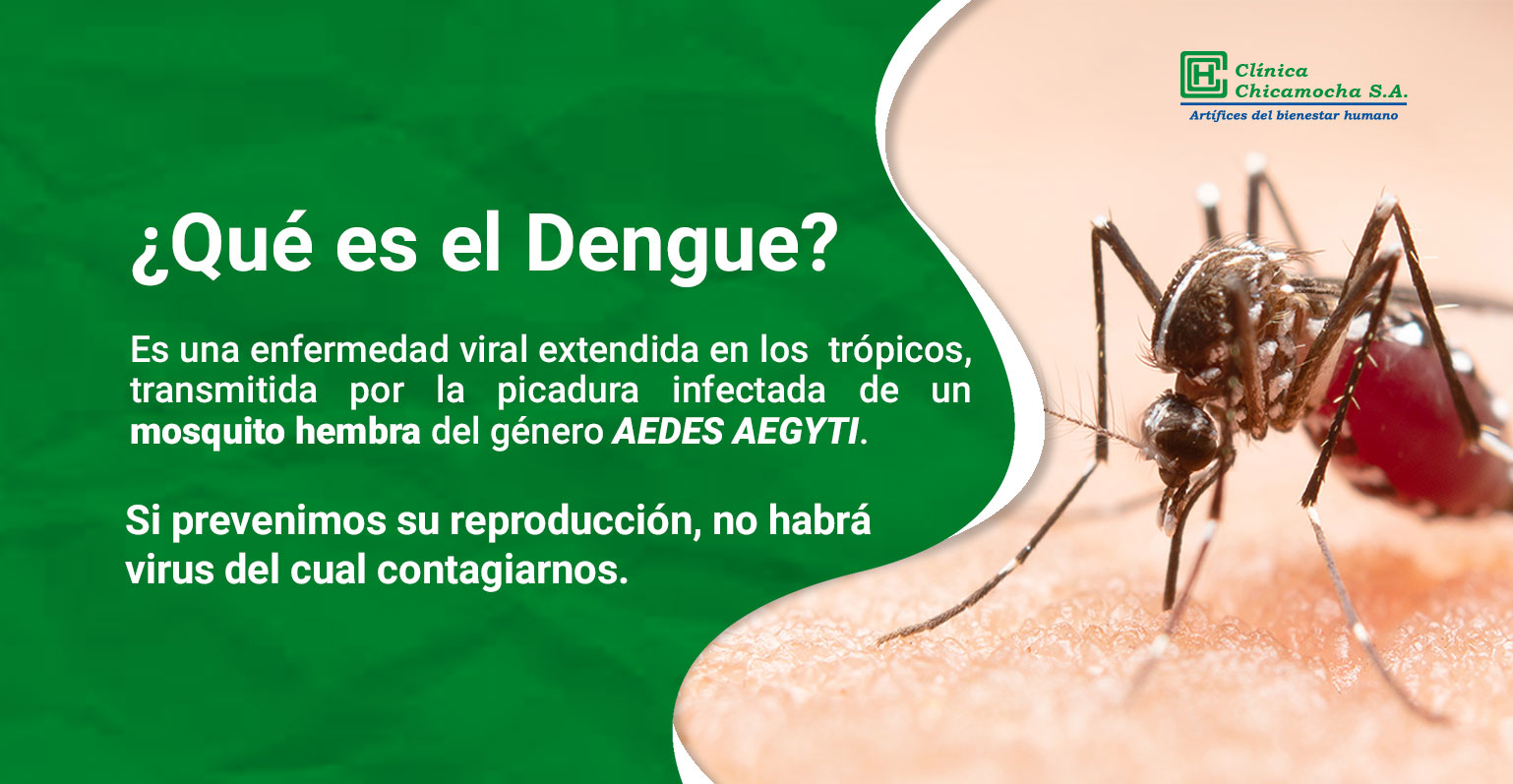 Banner-Dengue1-chicamocha