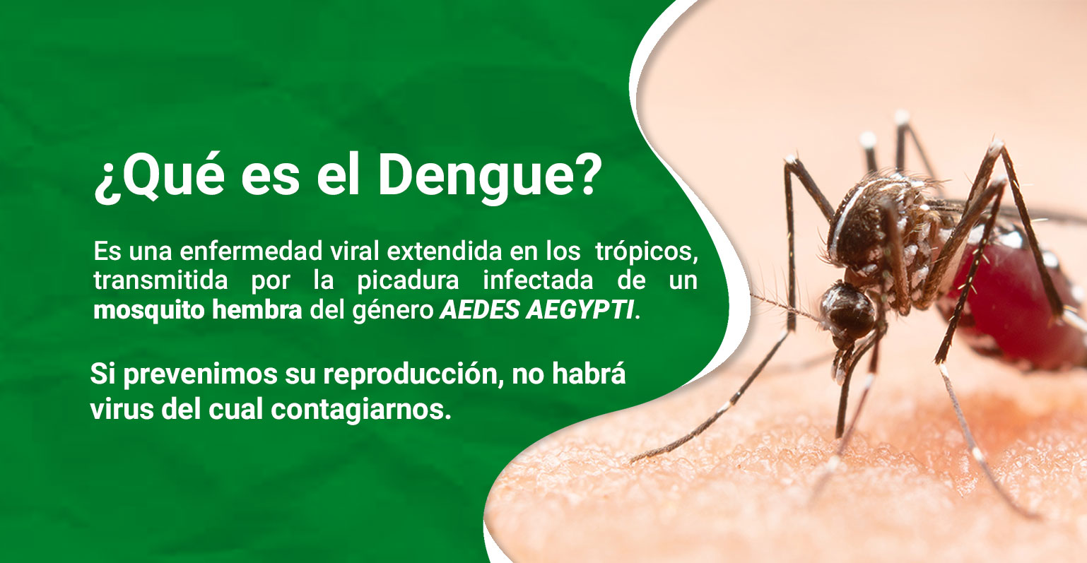 banner-dengue-home-clinica
